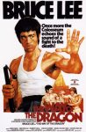 دانلود دوبله فارسی فیلم The Way of the Dragon 1972 دانلود دوبله فارسی فیلم The Way of the Dragon 1972