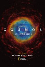 دانلود سریال Cosmos: Possible Worlds با زیرنویس چسبیده