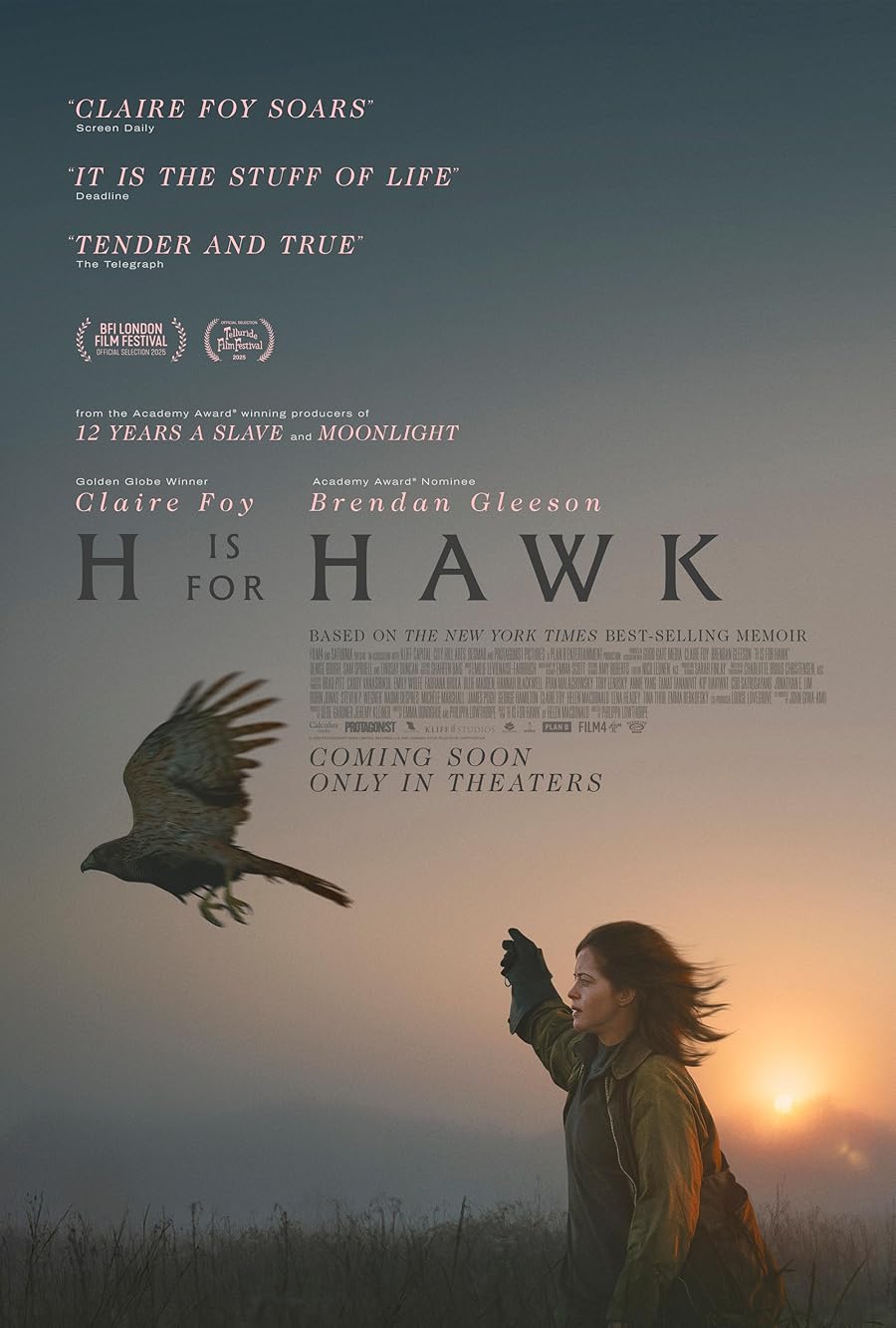 دانلود فیلم H Is for Hawk 2025 با زیرنویس فارسی چسبیده